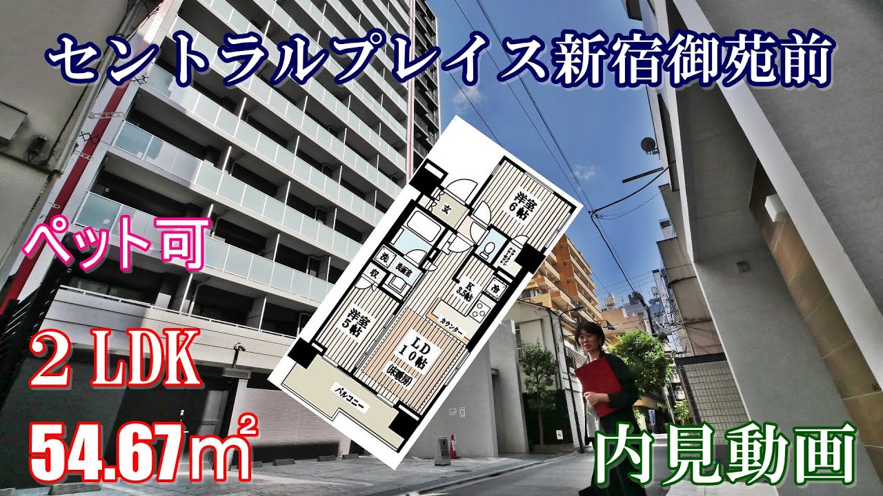 新宿御苑前駅ペット可高級賃貸【セントラルプレイス新宿御苑前】２LDK・54.64㎡・内見動画