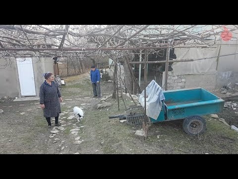 ,,აღარავინ ჩერდება სოფელში\" - ფოლადაშვილები პანტიანიდან