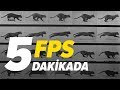 FPS (Frame Per Second) Nedir? | 5 Dakikada FPS