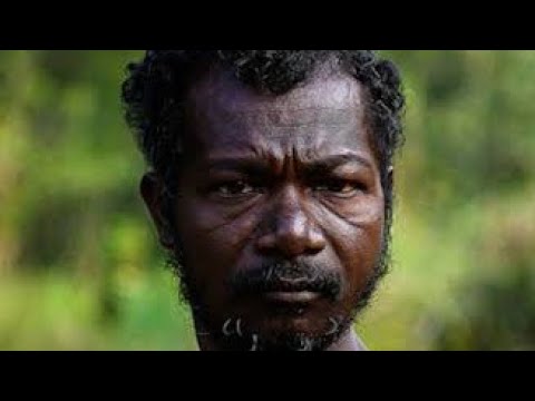 Who were South Asian Hunter Gatherers? - YouTube