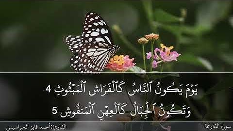 سورة القارعة كاملة مكتوبة ومسموعة بصوت القارئ احمد الحراسيس