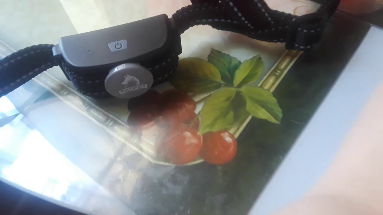 PATPET 301 Efficient and amazing dog training collar YouTube