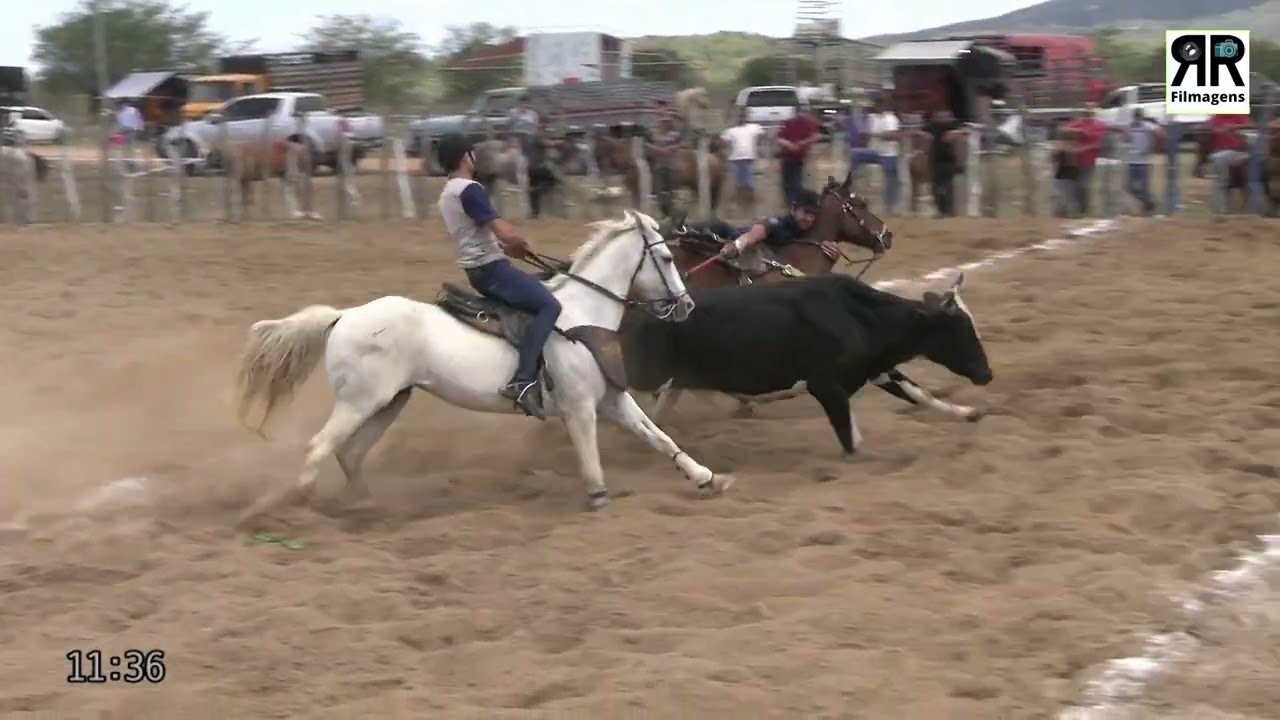 Disputa Final, Bolão de Vaquejada, Parque Piaba, Alcantil, Panelas - PB 13/09/2025