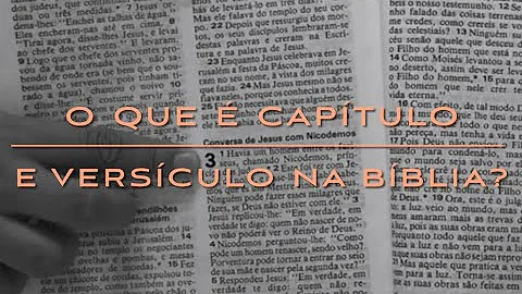 O que significa capítulo no texto?