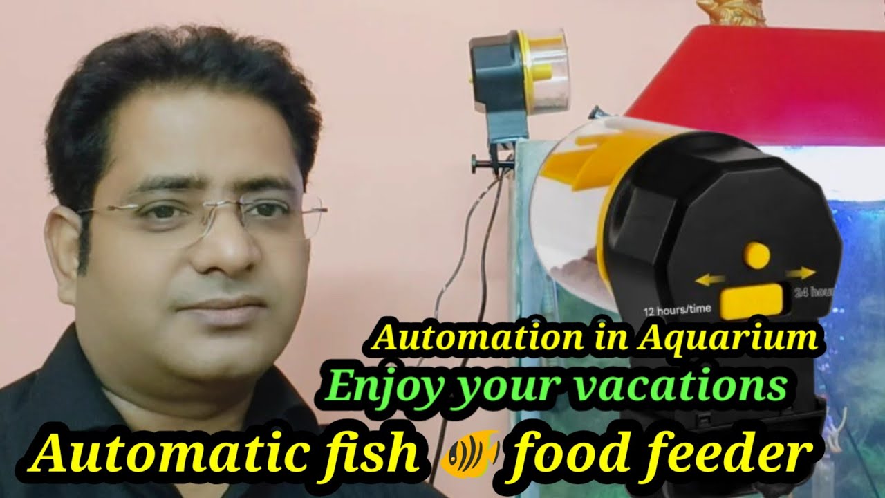 Automatic fish foodfeeder|smart automatic food feeder|food feeder for fish# feeder