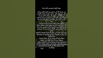 فضل قراءة سورة البقره يومياََ ✨♡ #حلمي_اوصل_100_مشترك