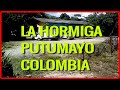 La Hormiga Putumayo Colombia ( Valle del Guamuez )