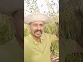 البامية شوكتي ولا شوكت ولا حاجه كوميديا Love Baby Automobile Comedy Funny Farming اكسبلور 