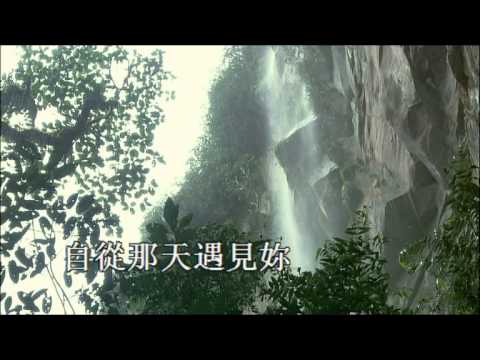 诉不尽的情意- 骆佩瑶