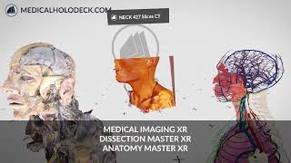Medicalholodeck Apps -  Medical Imaging XR, Dissection Master XR and Anatomy Master XR side by side screenshot 1
