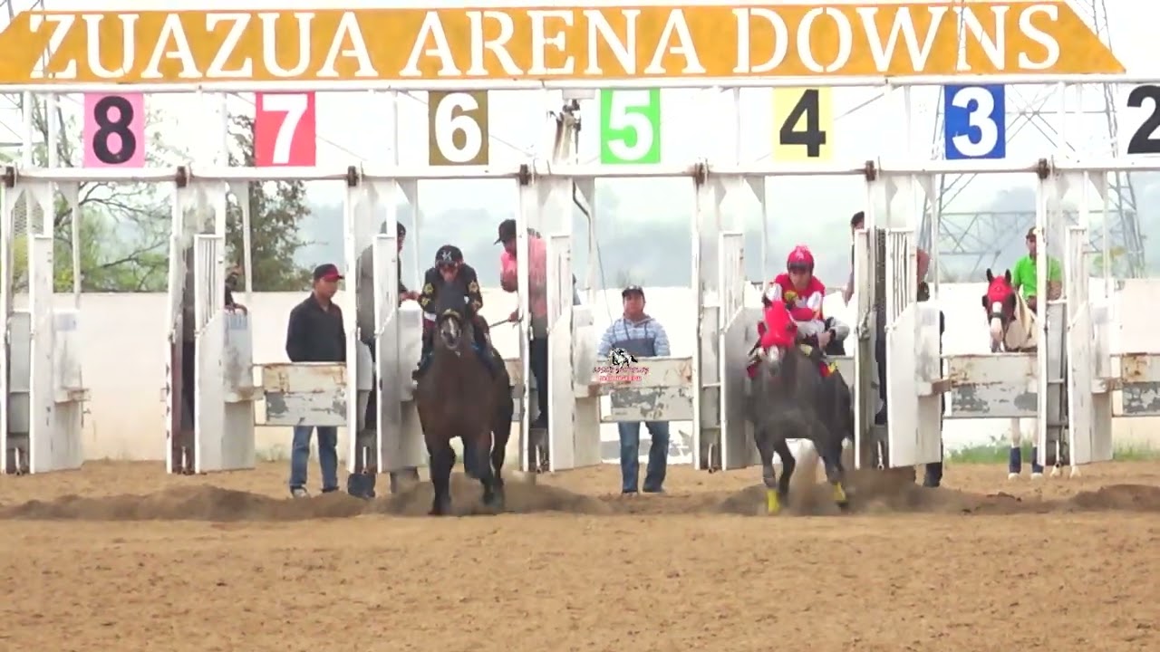EL PELOTERO CUADRA ESTRELLA VS EL NUBLADO CUADRA CASTILLA 250 YARDAS
