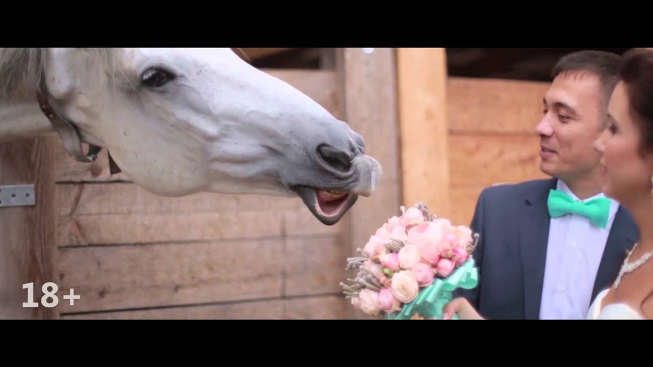 Свадебный портал Владивостока WVL.RU