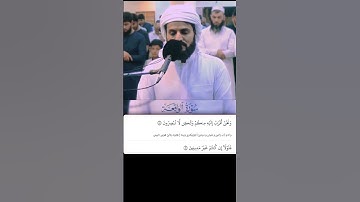 شيخ رعد الكردي حالات واتس اب | سورة (الواقعة: ٨٣)