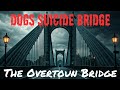 The Bridge That Makes Dogs Jump | Unsolved Mysteries | Haunted Places #mysterious #haunted #horror