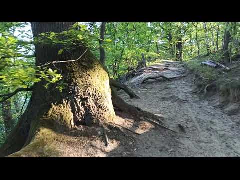 Видео: Walking in Schlossgarten Glienicke - SPRING early morning | Footage Part 2