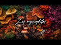 🍄  [Podcast] Les MYCOPHILES #1 - Quentin Gobert - La Mycosphère