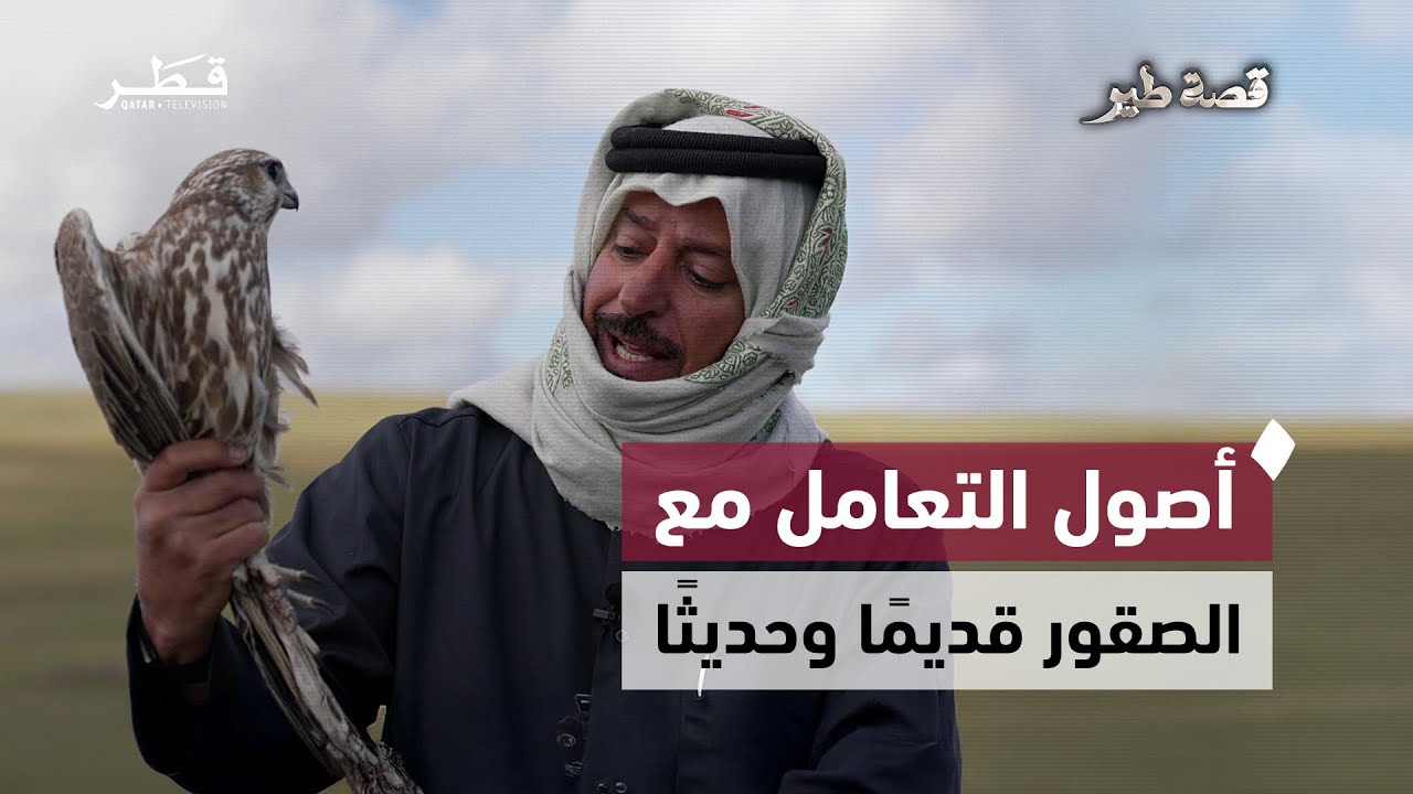 أسرار التعامل مع القرناس وفنون الصقارة في البر | قصة طير