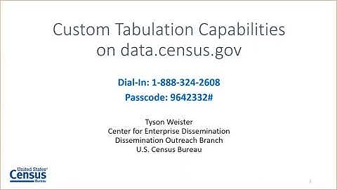 Custom Tabulation Capabilities on data.census.gov