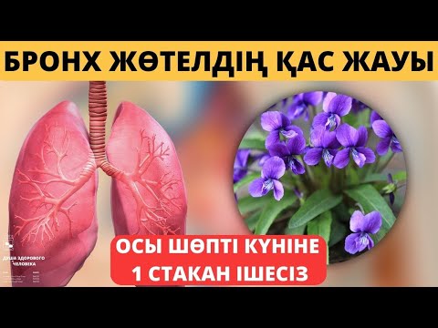 Бейне: Бронхит пен ішек ауруымен байланысты ма?