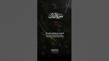 سورة ص أيات تلامس القلوب وتبعث السكينة والراحة النفسية | Surah Sad Heart Touching Verses Bringing