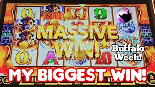 My Biggest Win on Buffalo Gold Cash Collection! Wealth