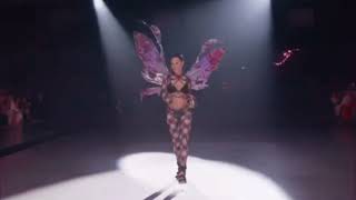 Adriana Lima Victoria's Secret Fashion Show 2024. Profile