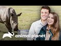 Festa de aniversário para o pequeno rinoceronte Kingston | A Família Irwin | Animal Planet Brasil