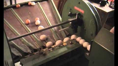 Egg coding EggFlex HeDiPack on Benhil 35 grader