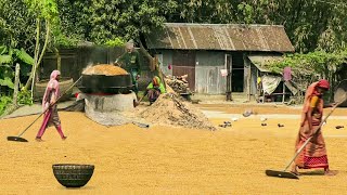 বানারীপাড়ার কুটিয়ালদের গ্রাম নলশ্রী || Panorama Documentary