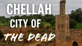 Walking Through Time: Chellah Necropolis of Morocco