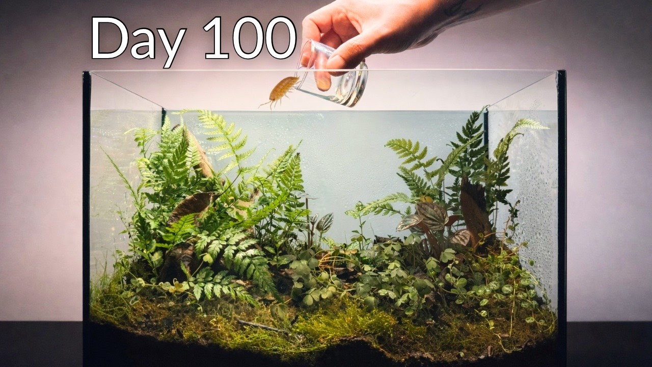 Building a Self-Sustaining Terrarium | 100 Day Journey