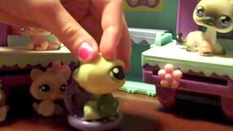 Madaleine Leininger theorist presentation