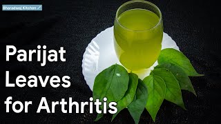 Parijat Leaves For Arthritis | Parijat Leaves Benefits | Health Benefits Of Harsingar Parijat Leaves For Arthritis | Parijat Leaves Benefits | Health Benefits Of Harsingar