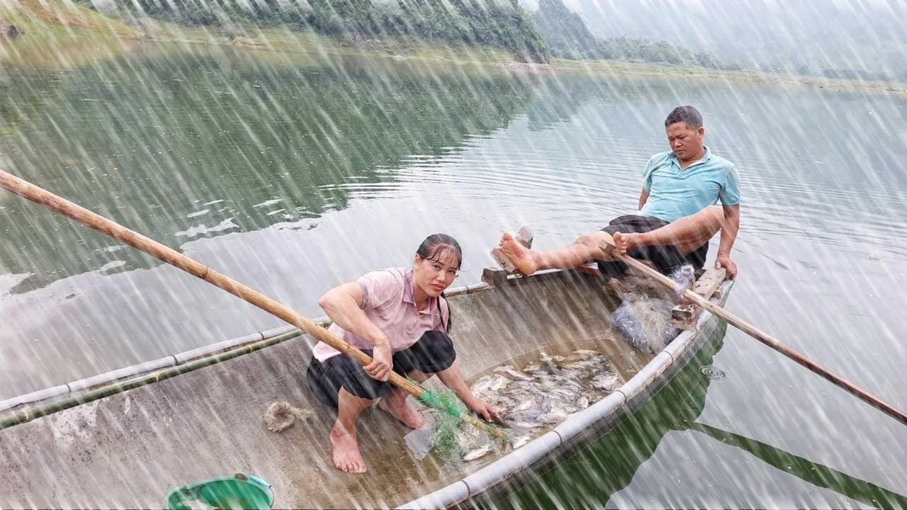 Harvesting fish in the rain with a net go to the village to sell ...