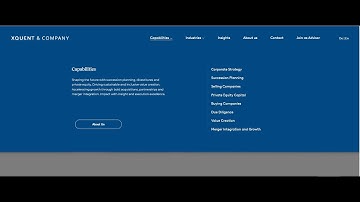 Squarespace and CSS Optimization | squarespace mega menu