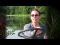 Frog-eating Bats: Smithsonian Scientist Rachel Page