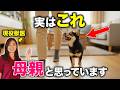 【ホンネ】犬が自分のことを「母親」だと思うサイン12選を、現役獣医師が解説！