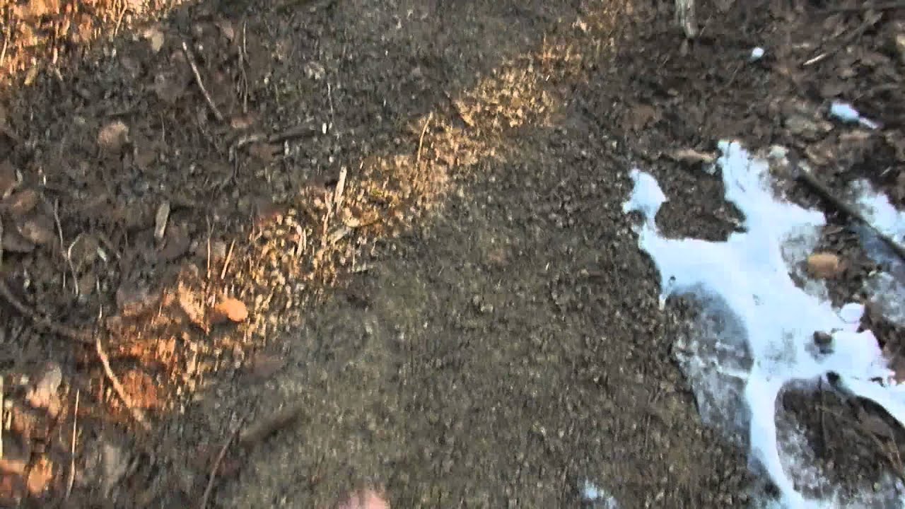 My Morning Walk 28/03/13 Part3 Frozen Ground YouTube