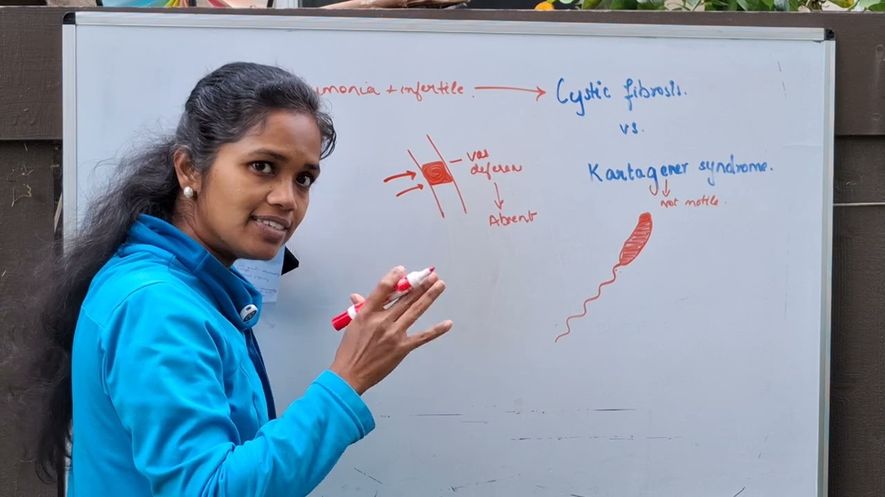 Key difference between cystic fibrosis and kartagener syndrome?What's the reason behind infertility?