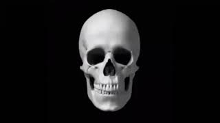 skull explode 3
