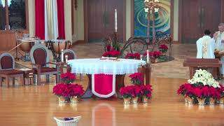 Sunday Mass - 11 AM - 01/11/26