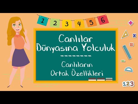 3. Sınıf -  Canlılar Dünyasına Yolculuk (Canlıların Ortak Özellikleri)