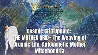 Cosmic Grid Update: THE MOTHER GRID~ The Weaving of Organic Life, Autogenetic Mother Mitochondria