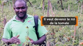 Cameroun : Il veut devenir le roi de la tomate