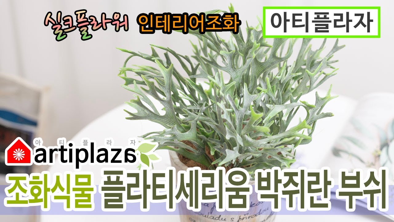 아티플라자 - 조화식물 플라티세리움 박쥐란 부쉬, 잎사귀 조화