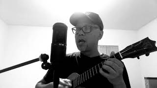 Try (Pink Ukulele Cover)