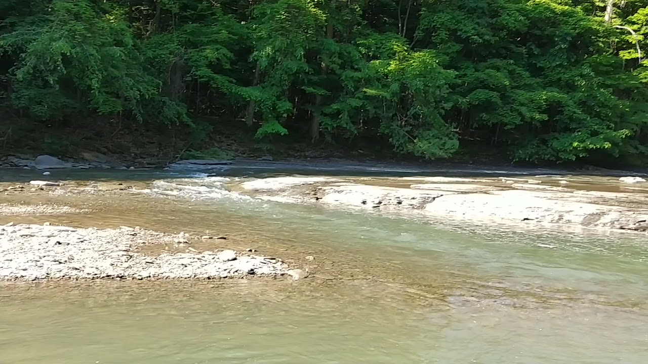 Zoar Valley, Valentine Flats, Cattaraugus Creek, Cattaraugus County, NY