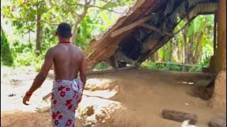 copy D4443E92 60E6 41C8 B3B6 6C4E25356039