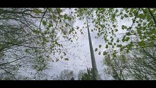 Boring Video Beechwood State Park New York State Lake Ontario