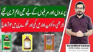 Life Saving Injection For Chickens & Birds B Complex & Other Vitamins Deficiency Treatment